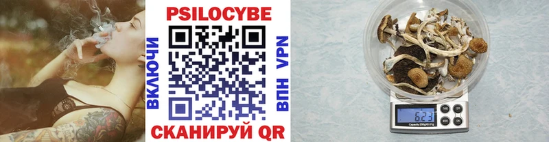 наркошоп  Асино  Галлюциногенные грибы мицелий 