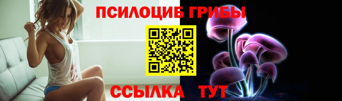 Галлюциногенные грибы прущие грибы  Асино  Галлюциногенные грибы GOLDEN TEACHER 