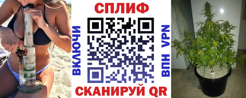 Конопля SATIVA & INDICA  блэк спрут как зайти  Асино 